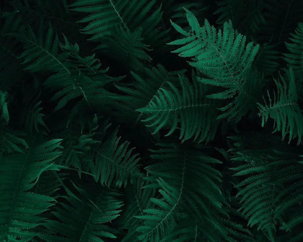 Ethical AI and sustainable technology concept with green leaves